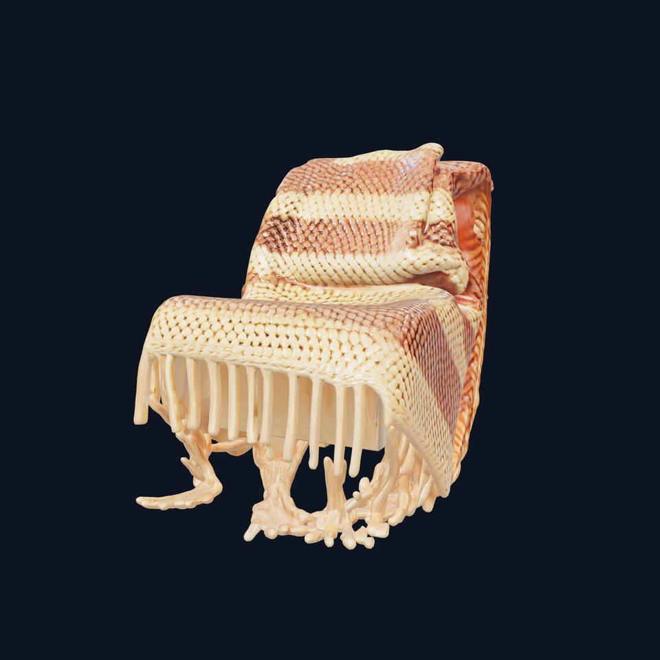 Artisanal Woven Throw Blanket Model Pack for Cozy Interiors